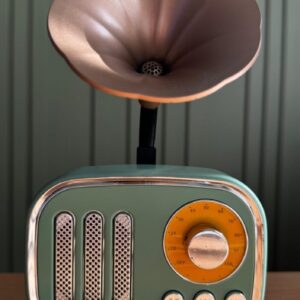 AsonPlus Dekoratif Mini Radyo Gramofon Bluetooth Hoparlör Fm USB Sd Yüksek Ses Speaker Yeşil Renkli